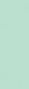 Mint Sorbette