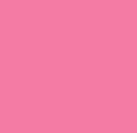 Dragon Fruit Sorbet