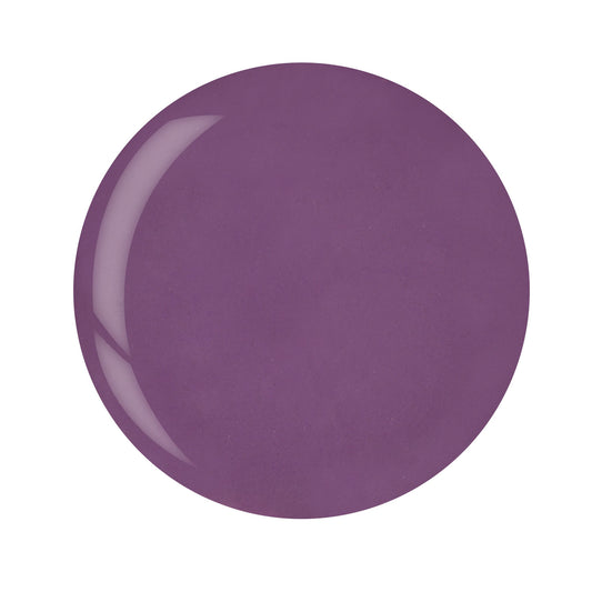 Fox Grape Purple