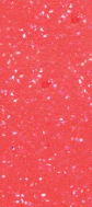 Watermerlon Pink W/Pink Mica