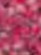 Brillo con Particulas Rosa