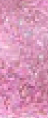 Nc02