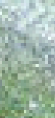 Nc03