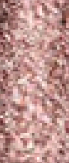 Bc06