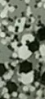Cosia - 823G